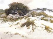 Percy Gray Monterey Sany Dunes (mk42) oil